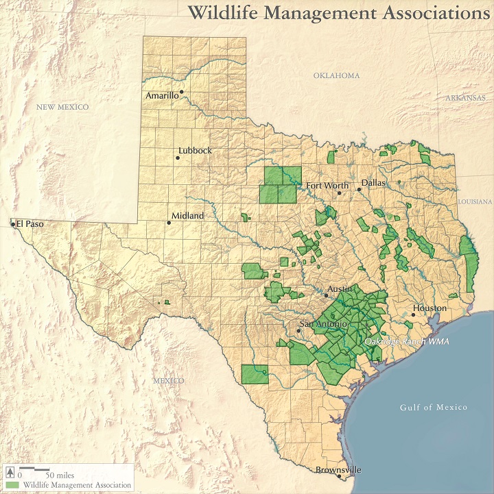 Texas Landscape Project: Map of Wildlife Management Associations