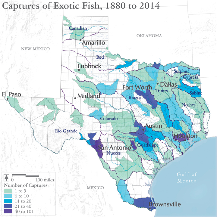 Texas Landscape Project: Map of Exotic Fish Captures, 1880-2014