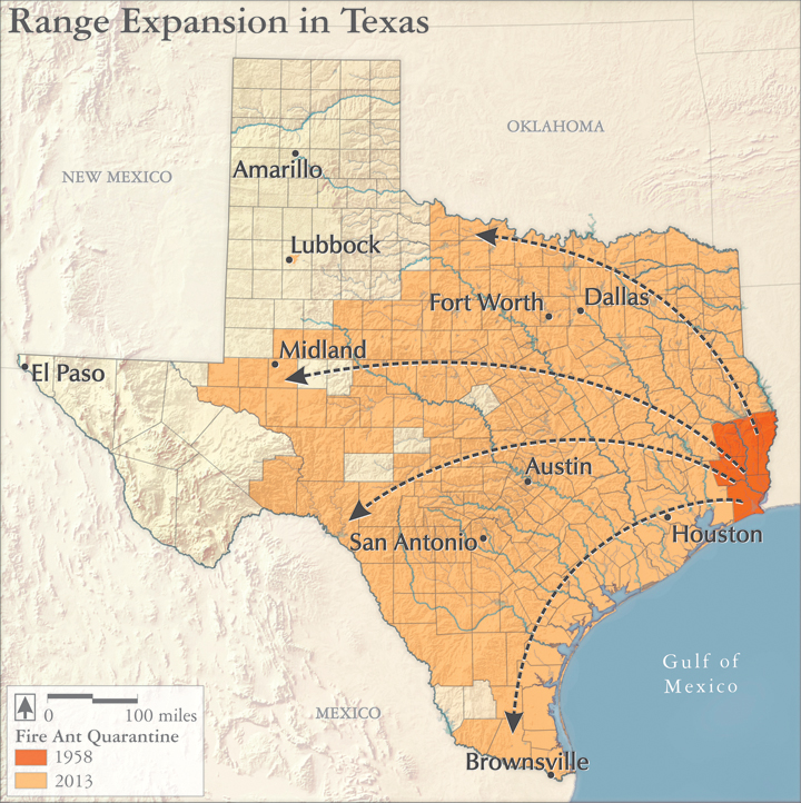Texas Landscape Project: Map of the Spread of the Red Imported Fire Ant, 1958-2013