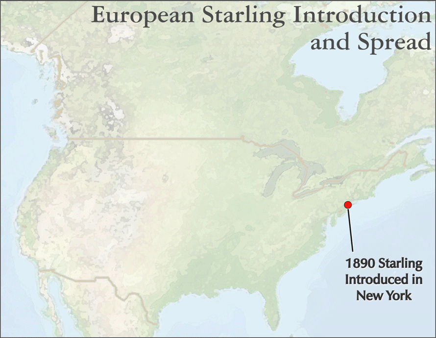 Texas Landscape Project: Map of the Introduction and Spread of the European Starling