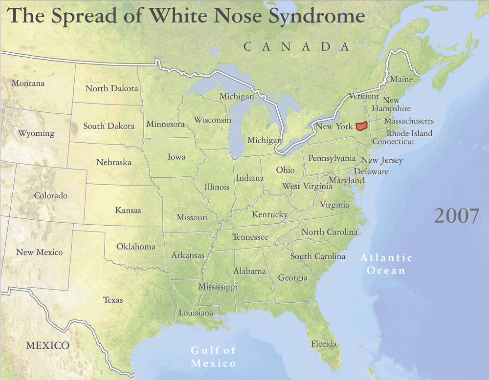 Texas Landscape Map: Spread of White Nose Syndrome